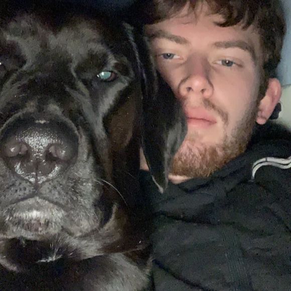 Meet your Posher, Alec - Picture 1 of 1